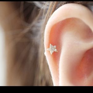 14kt Rose Gold Star Earring